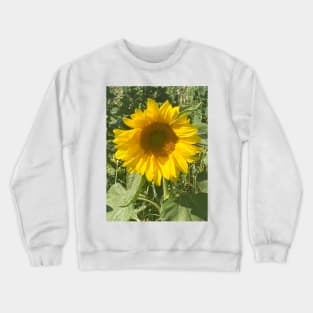 A Happy Sunflower Sunbathing and Soaking up the Summer Sun - Sunflower Alliteration! Crewneck Sweatshirt